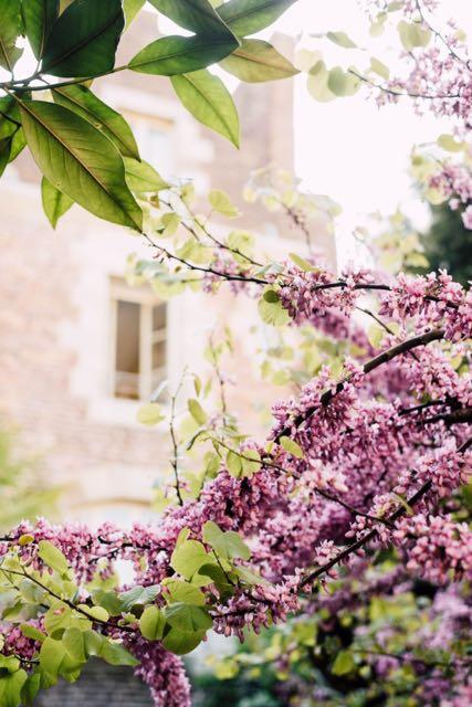 Bed and Breakfast Castel Jolly Rennes Esterno foto