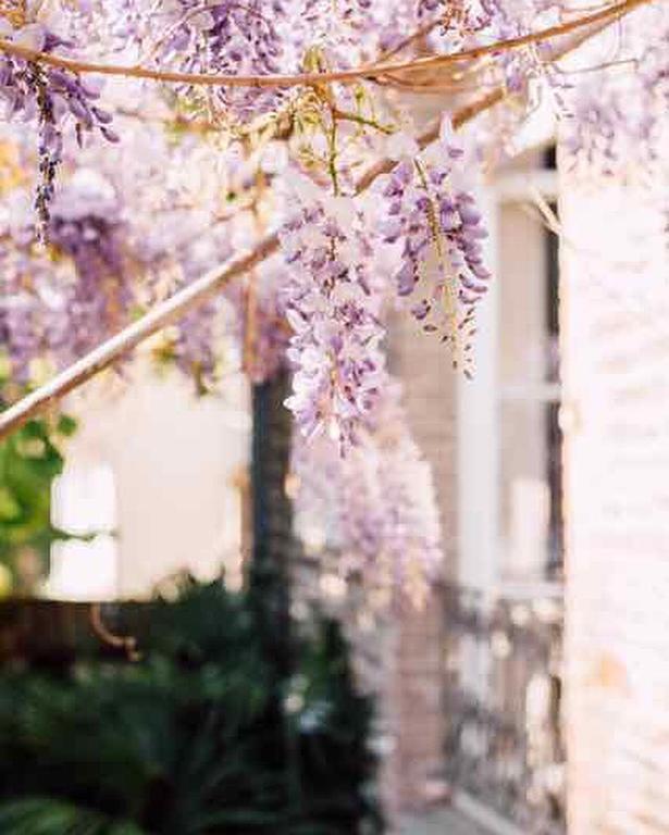 Bed and Breakfast Castel Jolly Rennes Esterno foto
